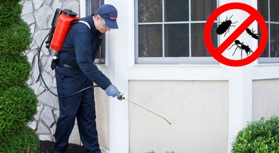 Kemah Böcek ve Haşere İlaçlama böcek ilaçlama ve haşere kontrolü — ilaclama-tr.com